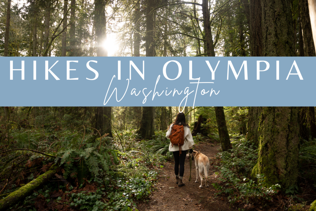 best hikes in olympia wa