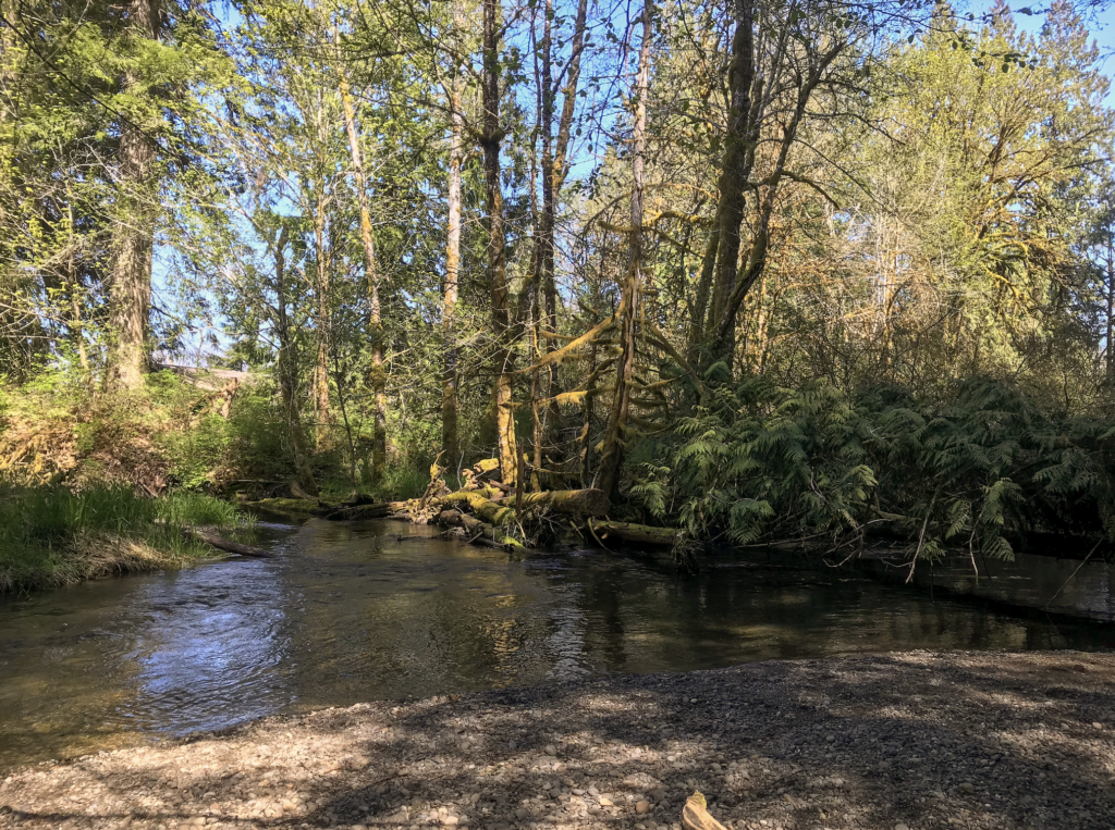 Visit Kennedy Creek Natural Area Preserve for Hikes in Olympia