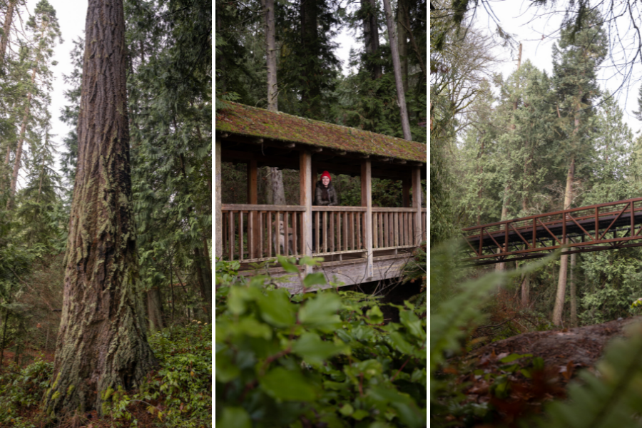 Sequim State Park is One of the Best Things to do in Sequim Washington