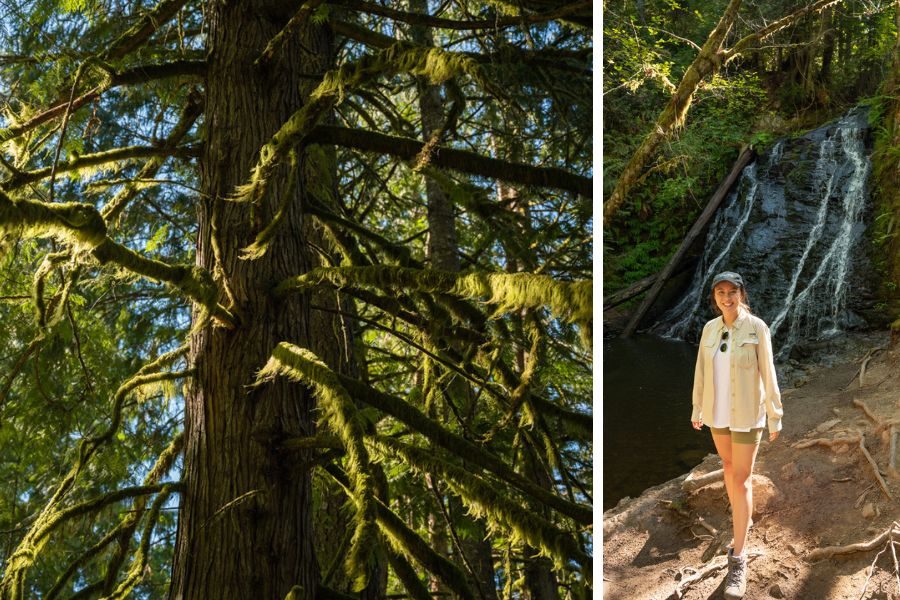 Seattle travel bloggers, Bremerton hikes, hikes near Bremerton