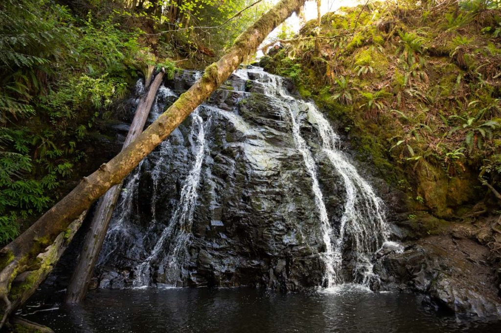 dickerson creek waterfall, waterfalls in kitsap county, Bremerton things to do