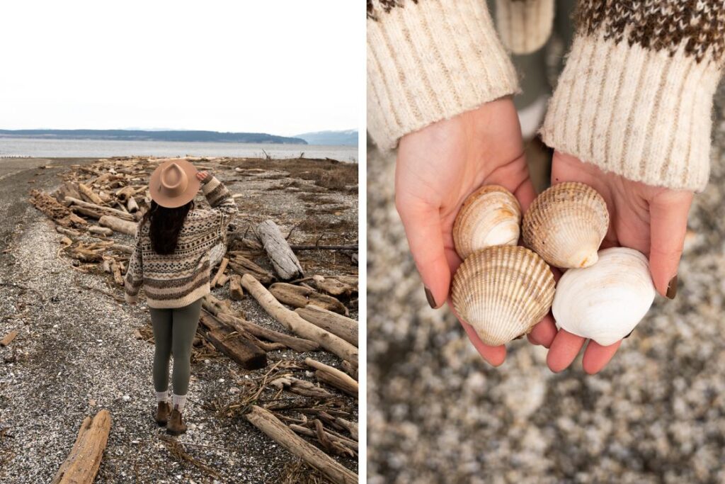 whidbey island beaches